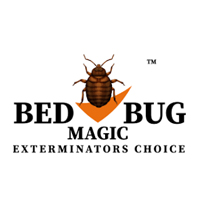 Bed Bug Magic