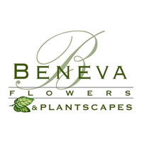 Beneva Flowers