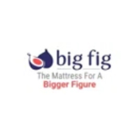 Big Fig Mattress