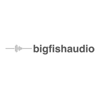 Big Fish Audio