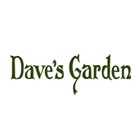 Daves Garden