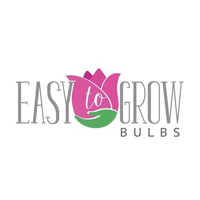 Easy To Grow Bulbs