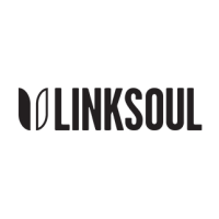 LinkSoul