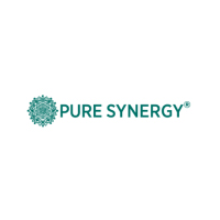 The Synergy Company