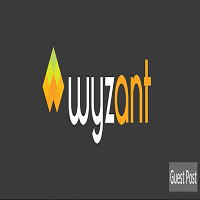 WyzAnt